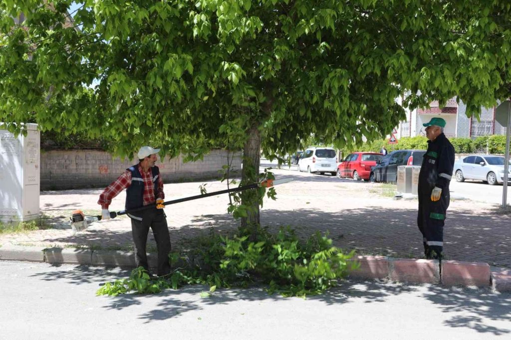 Elazığ, yeşil bir yaz mevsimine hazırlanıyor