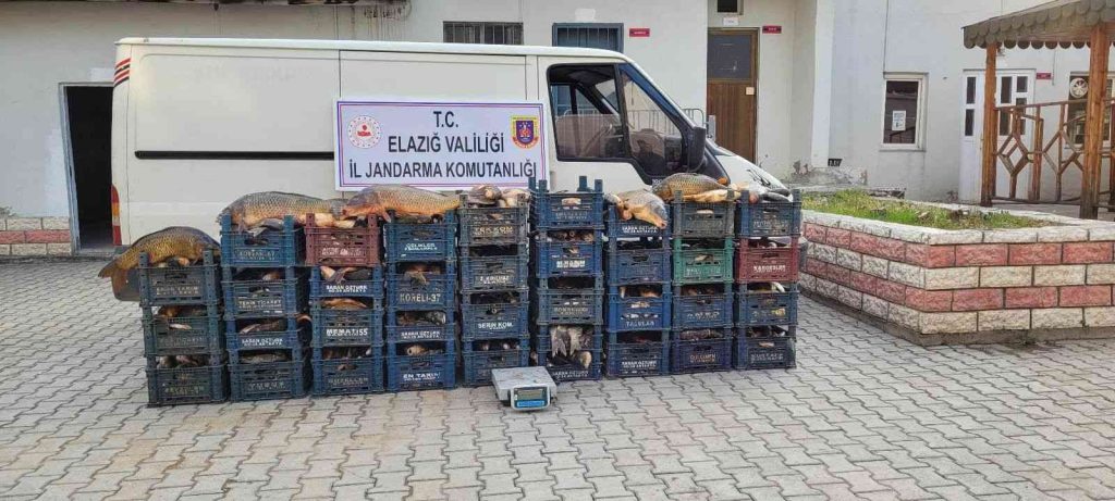 Elazığ’da 3 kaçak avcıya, 22 bin lira ceza kesildi