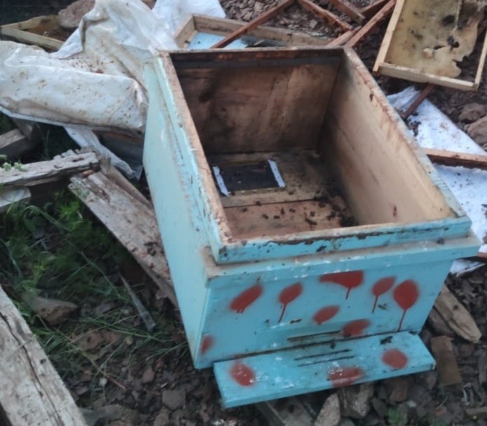 Elazığ’da ayılar arı kovanlarını parçaladı