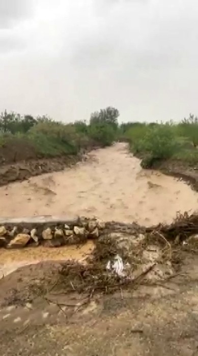 Elazığ’da dereler taştı, su altında kalan tarım arazileri zarar gördü