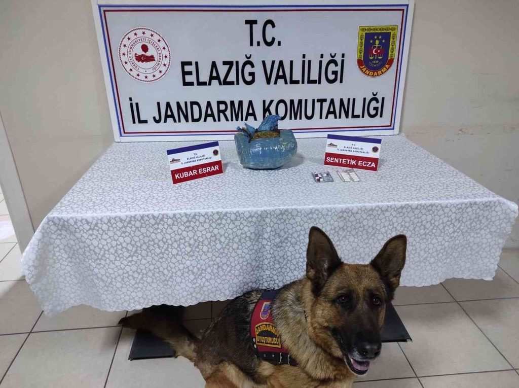 Elazığ’da uyuşturucu operasyonu: 1 gözaltı