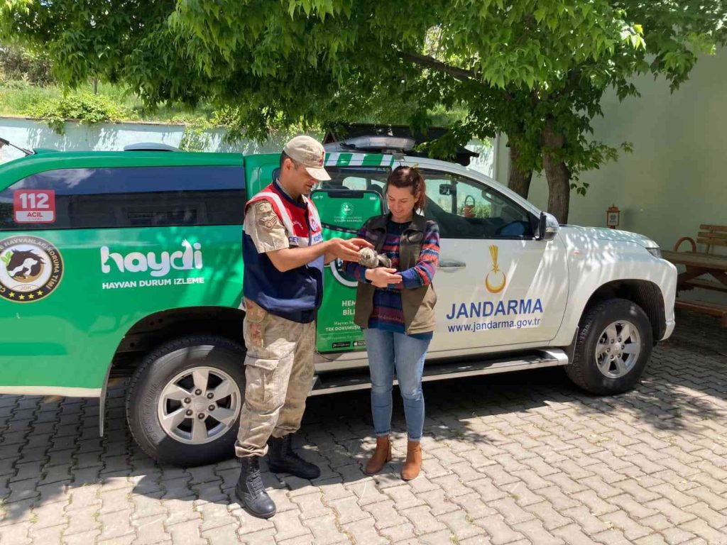 Jandarma’dan kuş şefkati