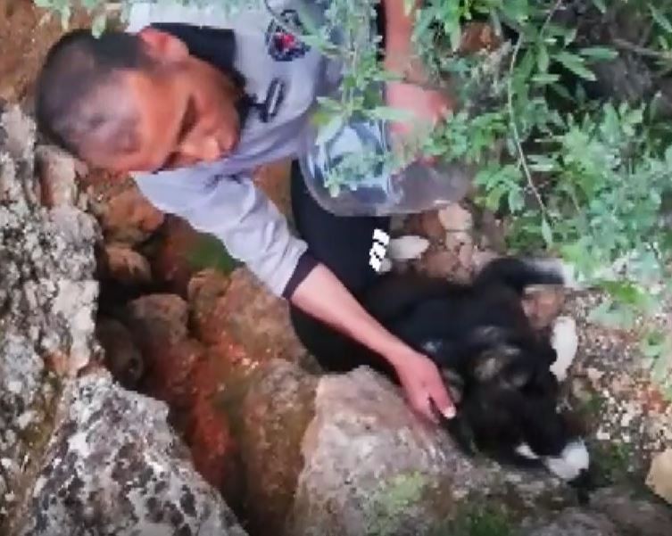 Kafası bidona sıkışan köpek günler sonra fark edilerek kurtarıldı