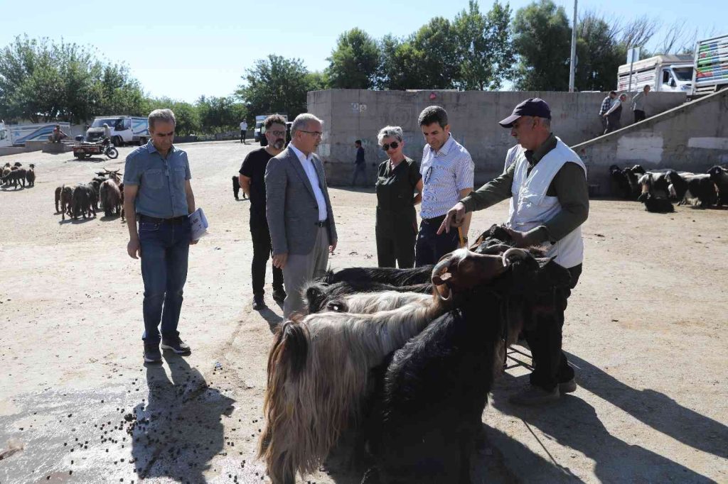 Diyarbakır’da kurbanlık satış ve kesim yerleri belirlendi