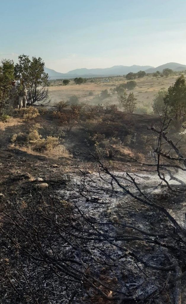 Elazığ’da ormanlık alanda çıkan yangın büyümeden söndürüldü