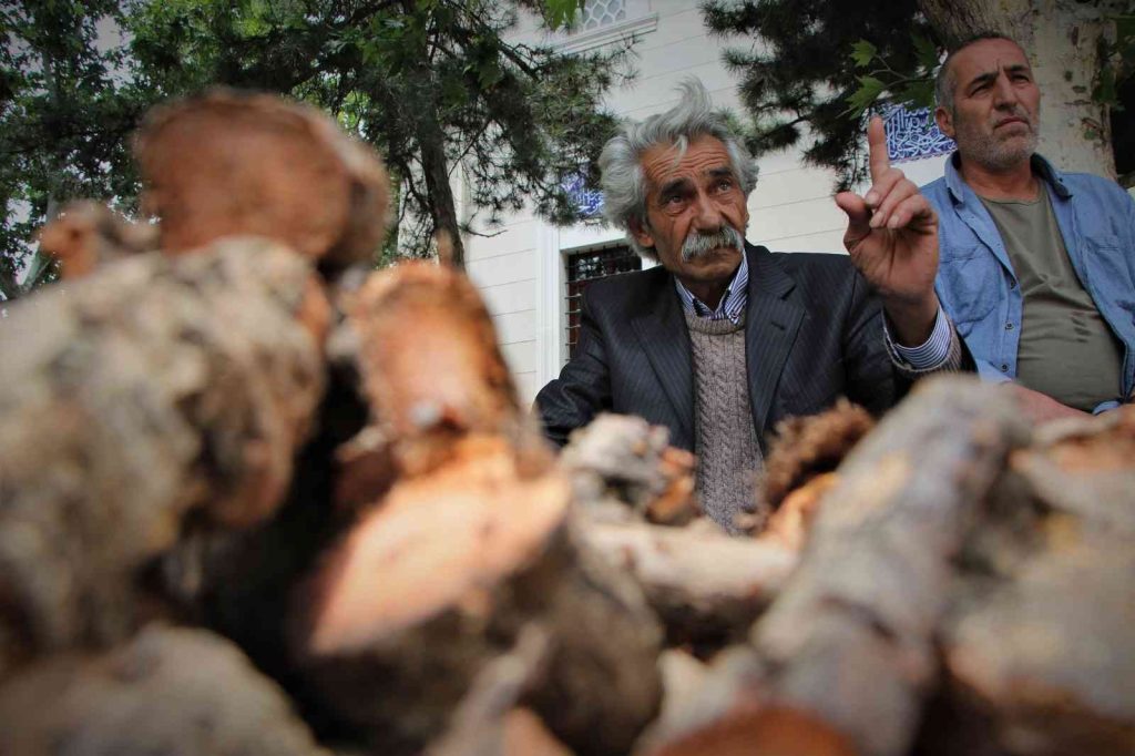Elazığ’da şifa deposu olarak bilinen ışkın otu kökü tezgahtaki yerini aldı