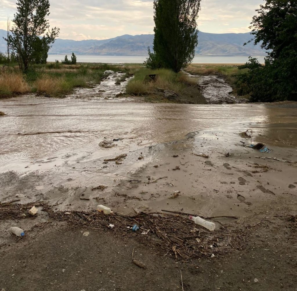 Elazığ’da tarım arazilerini sel vurdu