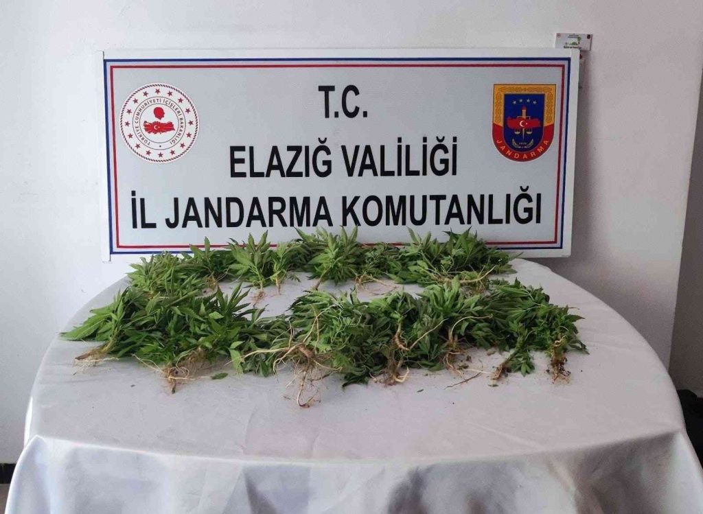 Elazığ’da uyuşturucu operasyonu
