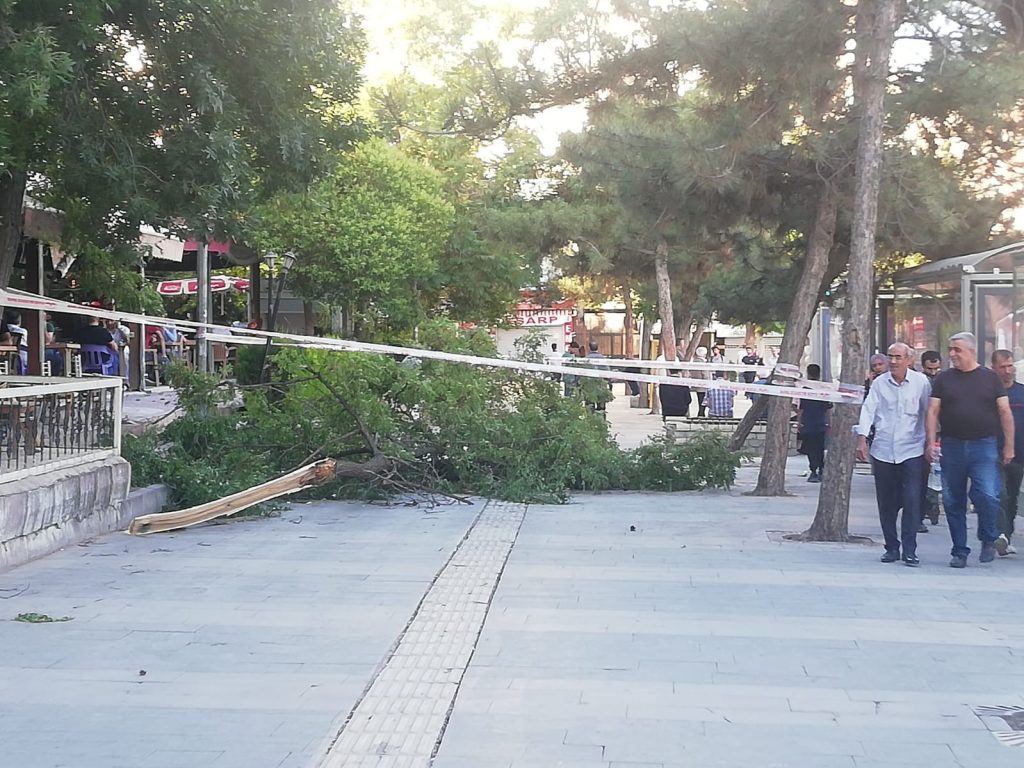 Fırtına ağacı devirdi: 1 yaralı