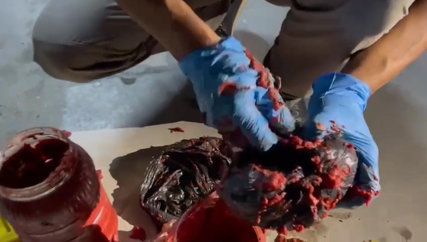 Salca bidonu içinde uyuşturucu sevkiyatı ‘Nina’dan kaçmadı: 2 gözaltı