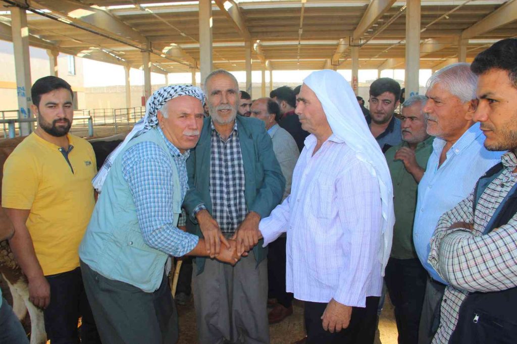 Şanlıurfa hayvan pazarlarında hareketlilik başladı