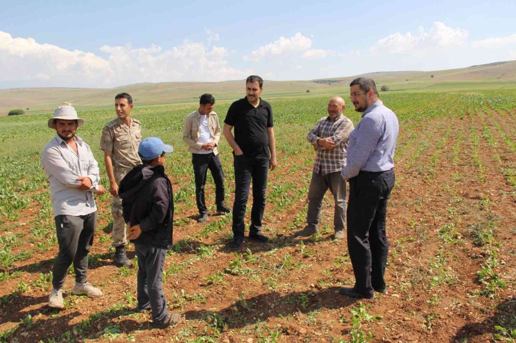 Tarlada mevsimlik işçilerle hasbihal