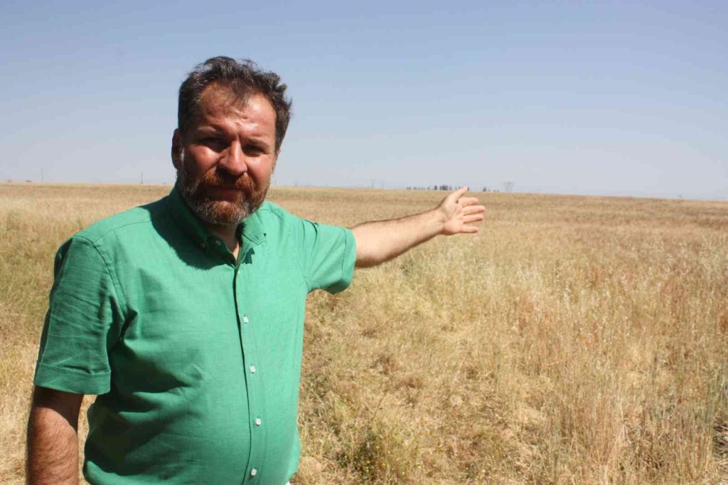 Yangınlar çiftçinin geleceğini, ülkenin ekonomisini yok ediyor