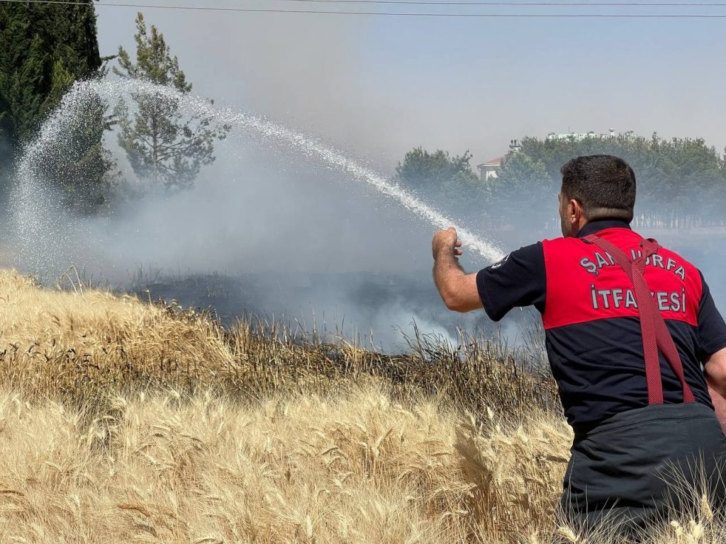 Yüksek gerilim hattı buğday tarlasını kül etti