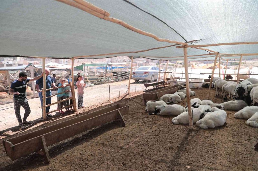 Beyazgül hayvan pazarında incelemelerde bulundu