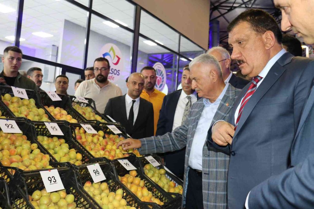 Binali Yıldırım en güzel kayısıların bulunduğu standı gezdi