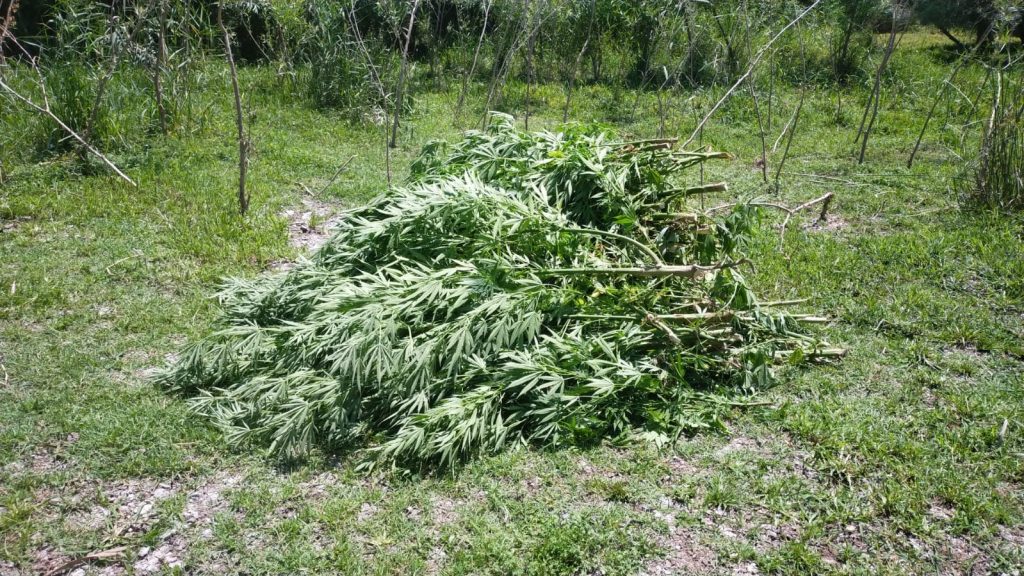 Diyarbakır’da 23 şüpheli gözaltına alındı