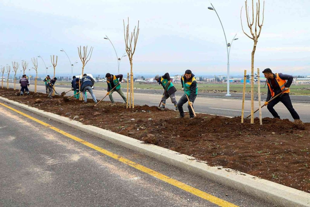 Diyarbakır’da farklı türlerde bin 700 ağaç dikildi