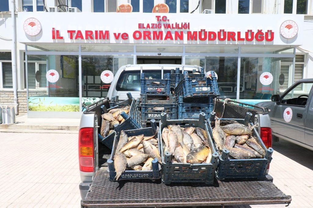 Elazığ’da kaçak avlanan 84 kişiye 350 bin lira ceza