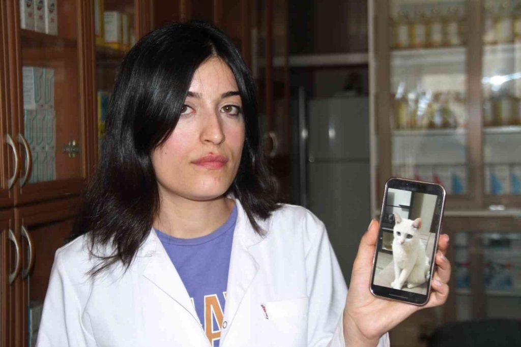 Elazığ’da kaybolan kedisini sokak sokak arıyor