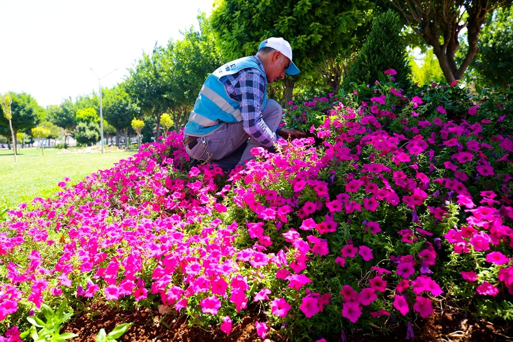 Eyyübiye parklarında peyzaj düzenlemesi