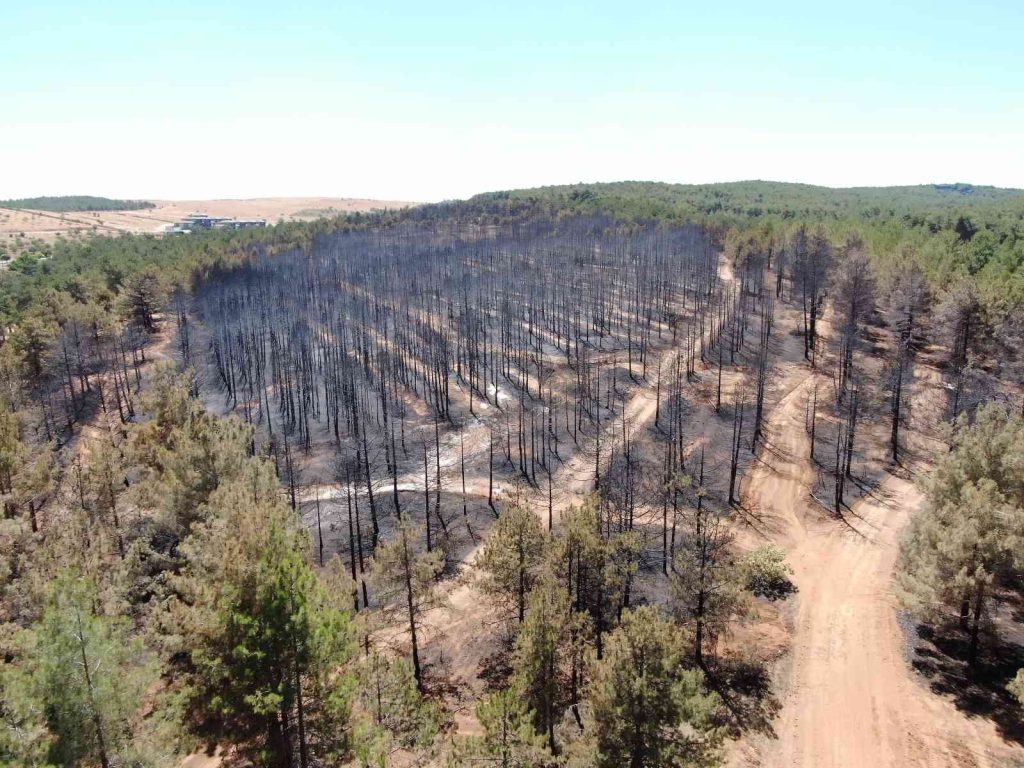 Gaziantep’te yanan ormanlık alan havadan görüntülendi