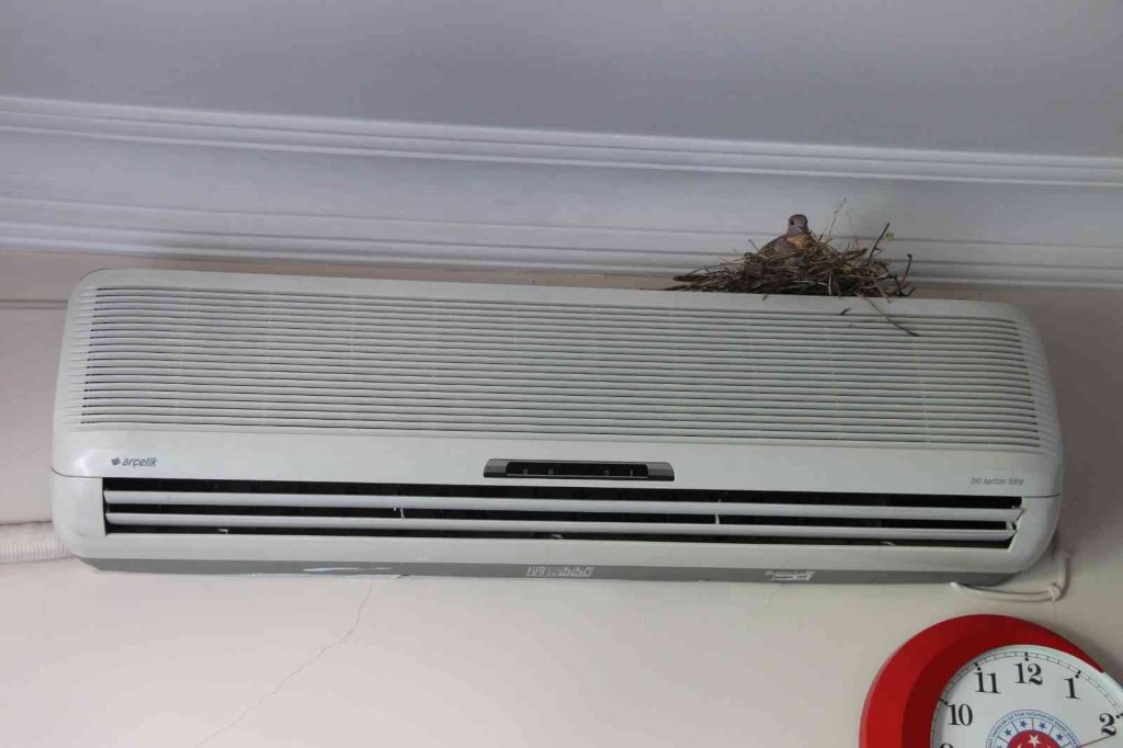 Hükümet konağına giren kumru, klimanın üzerine yuva yaptı