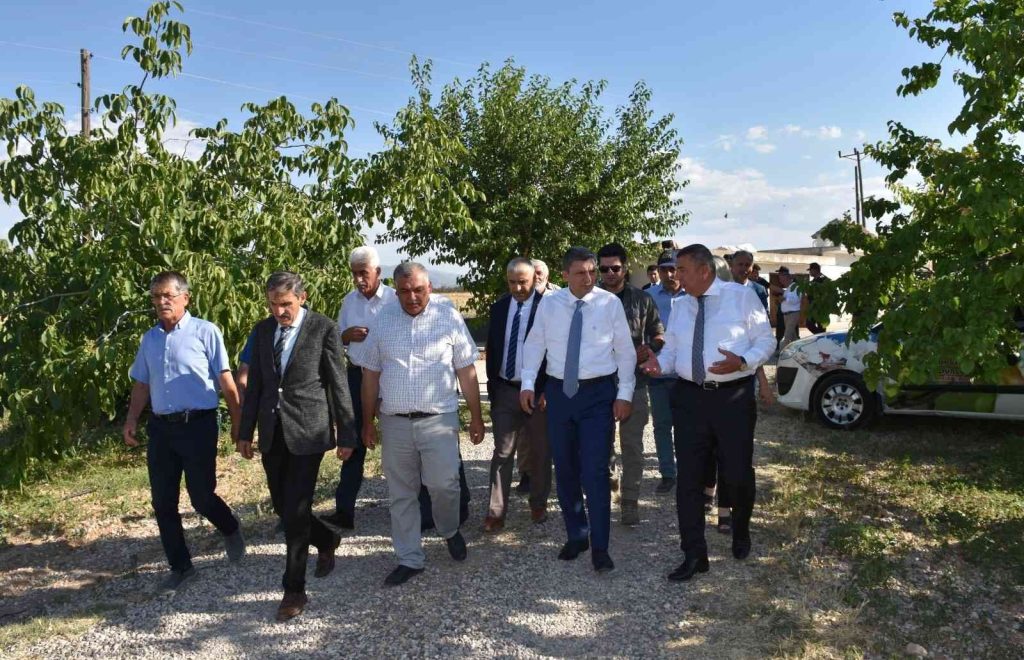 Malatya’da kayısı hasadı sürüyor