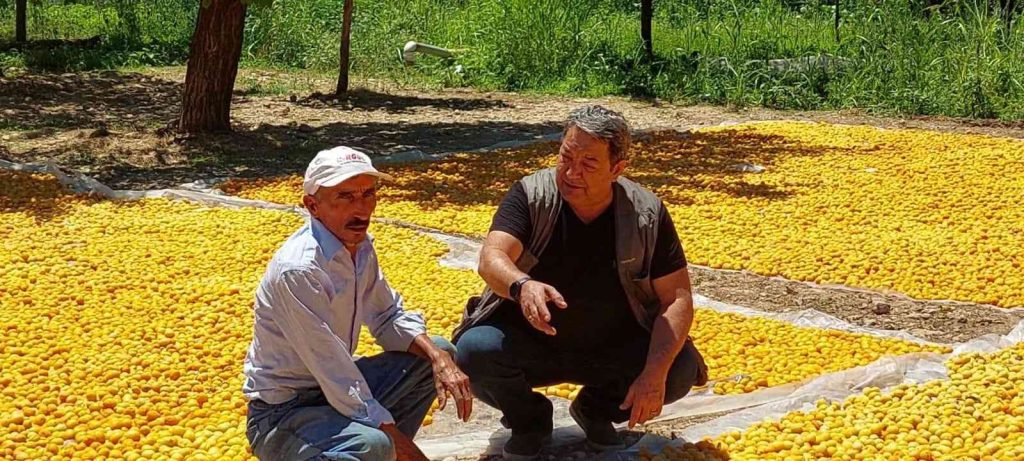 MHP’li Fendoğlu’ndan  kayısı üreticilerine ziyaret