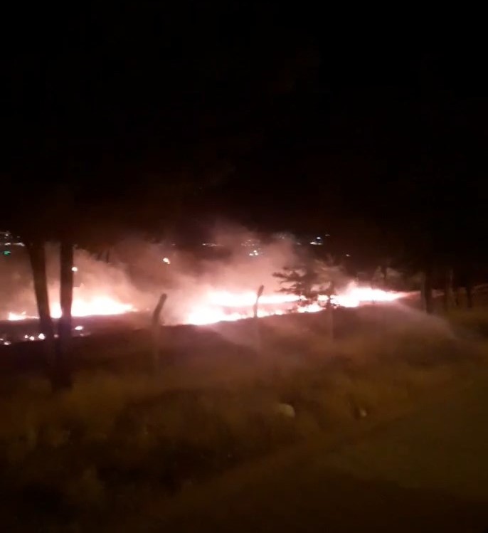 Otluk alanda yangın paniği