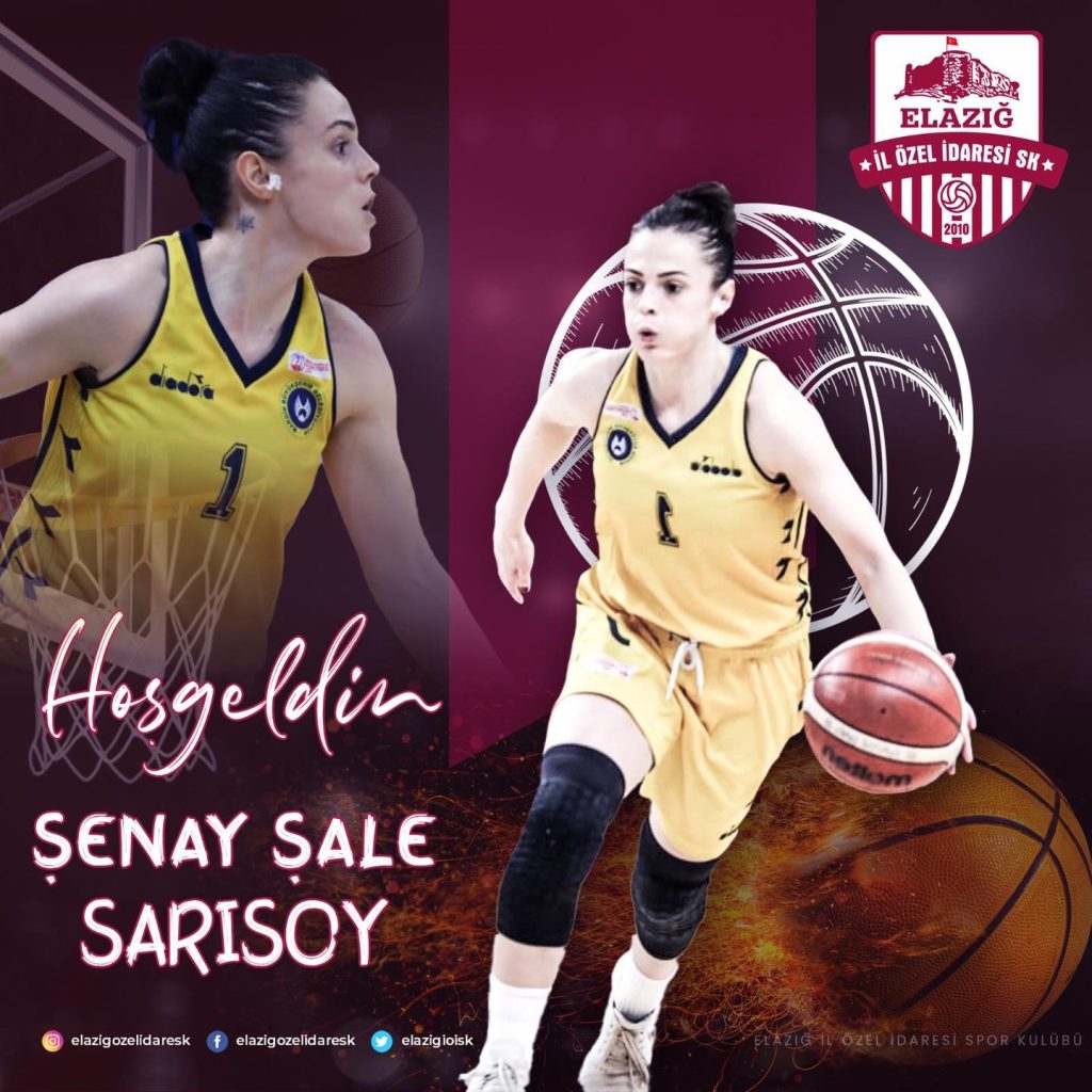 Şenay Şale Sarısoy, Elazığ İl Özel İdare’de