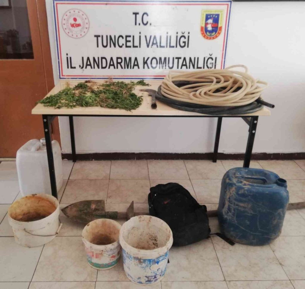 Tunceli’de bir evde kenevir ele geçirildi