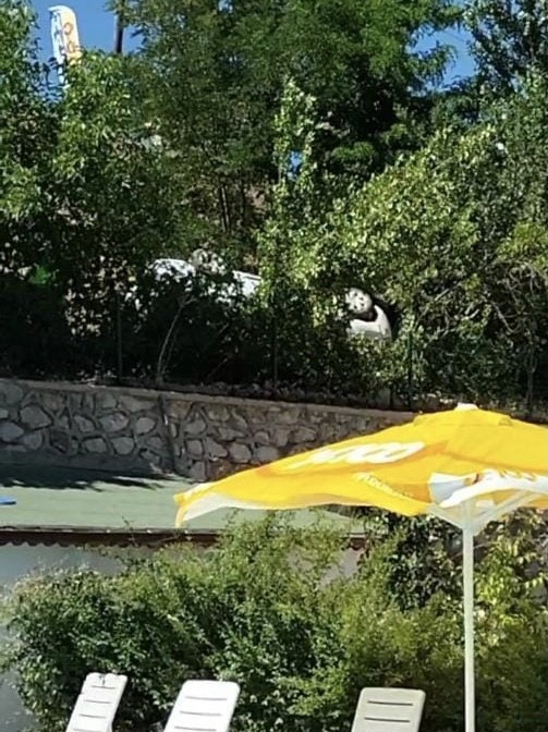 Tunceli’de otomobil bahçeye uçtu: 4 yaralı