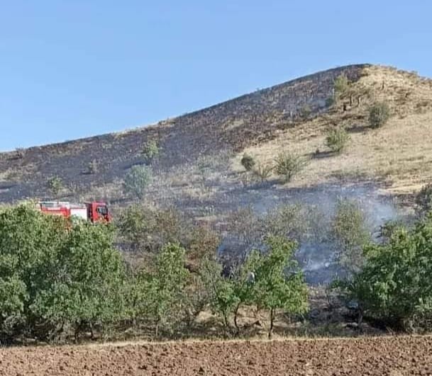 Tunceli’deki örtü yangını söndürüldü