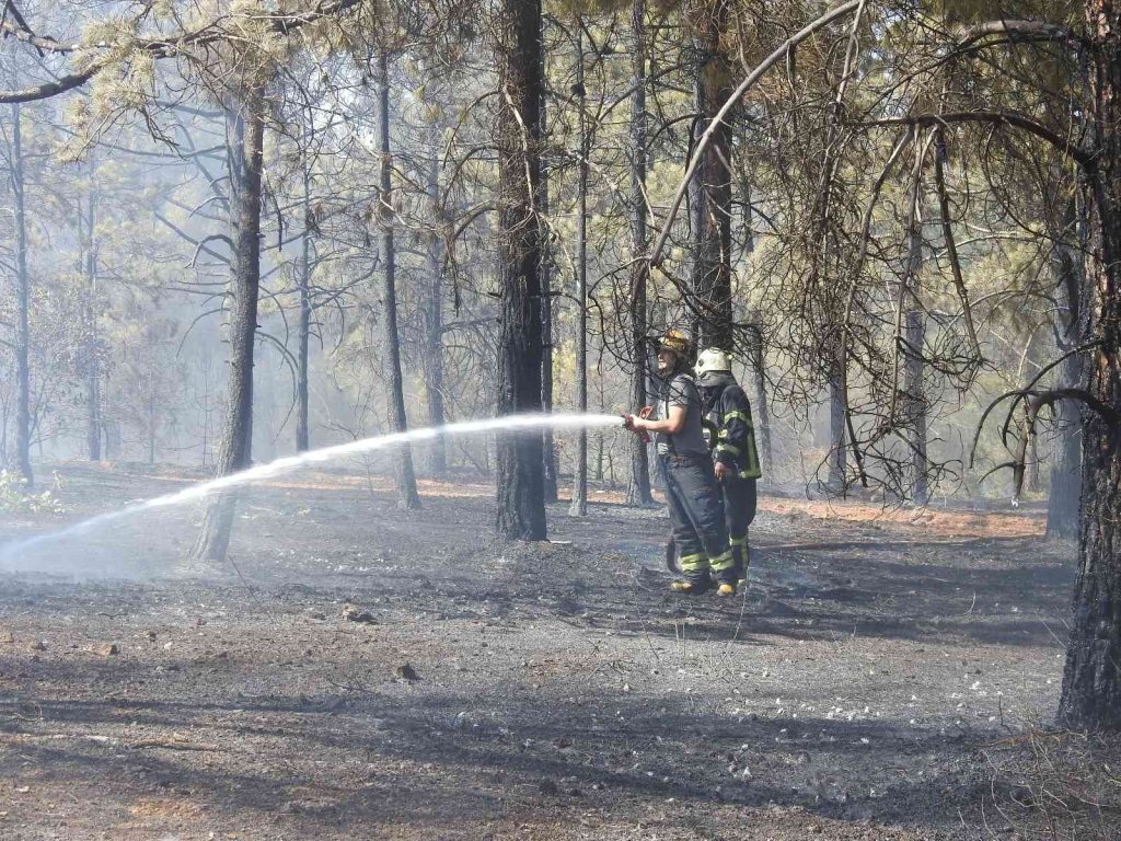 Yangına ilk 7 dakikada yapılan müdahale faciayı önledi