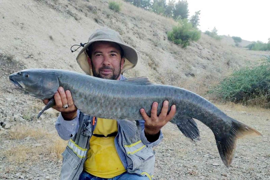 Araban’da oltalar Fırat’la buluştu
