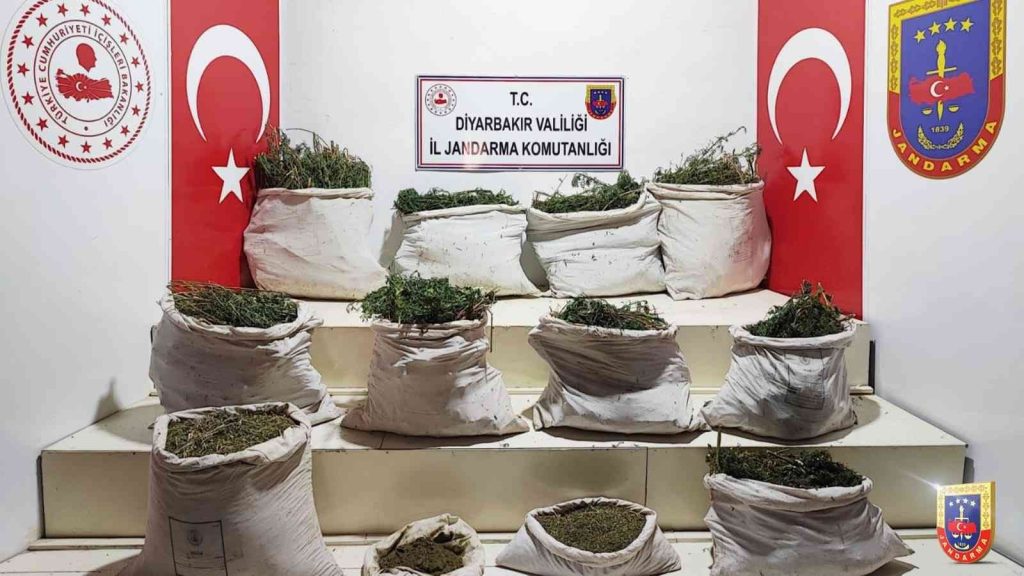 Diyarbakır’da “Eren Abluka” operasyonunda 3 milyon kök Hint keneviri ele geçirildi