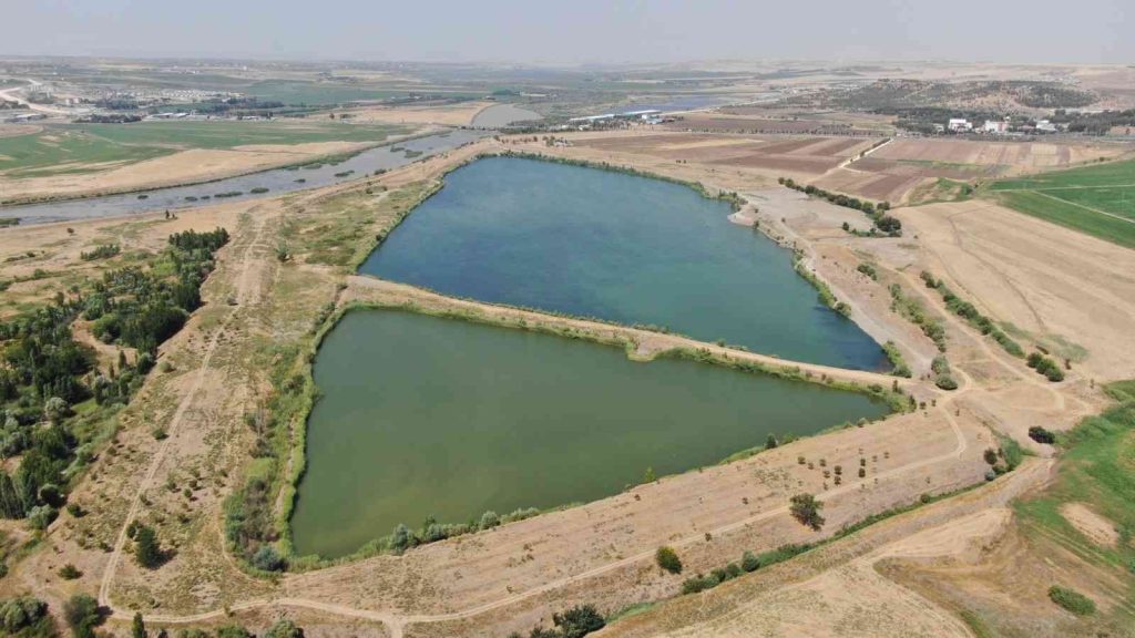 Diyarbakır’da su kaynaklarına 2 milyon 904 bin sazan balığı bırakıldı