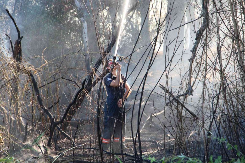 Elazığ’da ağaçlık alandaki yangın söndürüldü