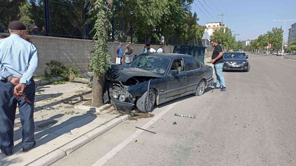 Elazığ’da otomobil ağaca çarptı: 1 yaralı