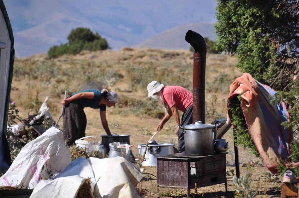 Huzur kenti Tunceli’de yaylacılar güven içerisinde dağlara çıkıp hayvancılık yapıyor
