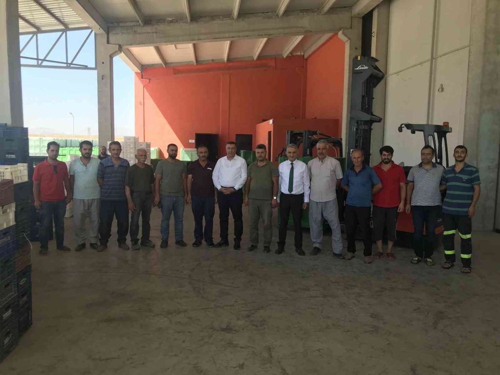 Lisanslı Kuru Kayısı Deposuna üreticinin ilgisi artıyor