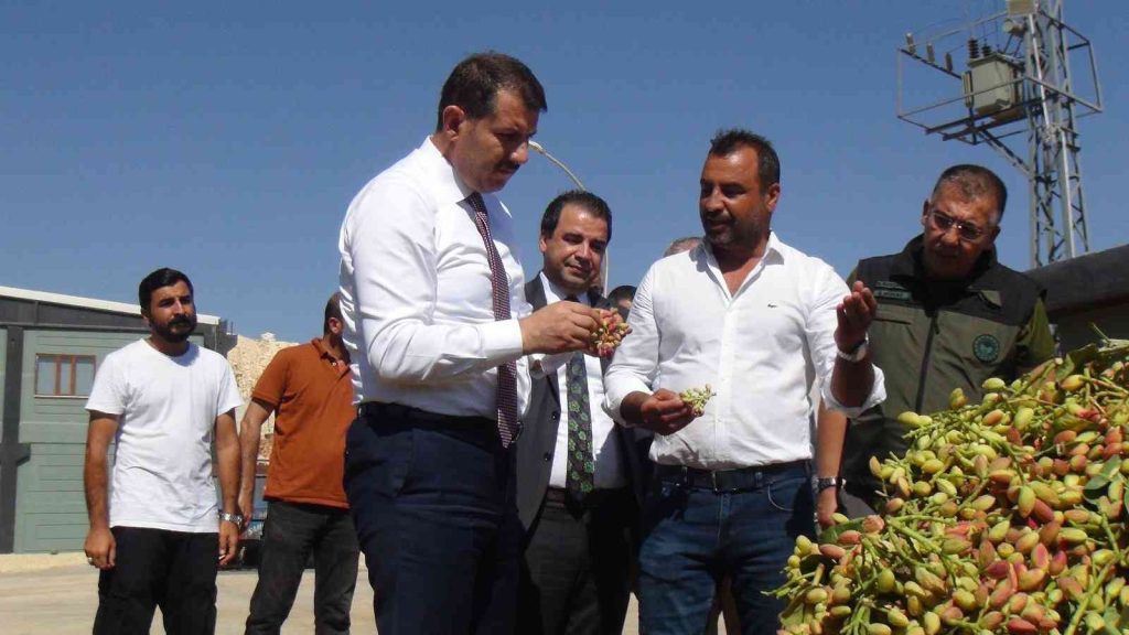 Şanlıurfa’da binlerce çiftçiyi heyecanlandıran proje