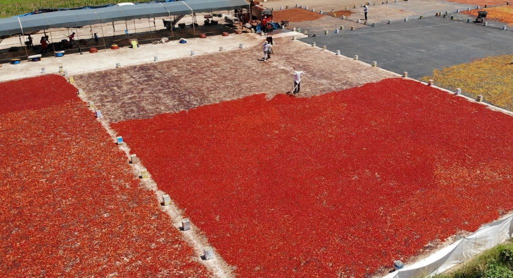 Şanlıurfa’da isotun acı serüveni başladı