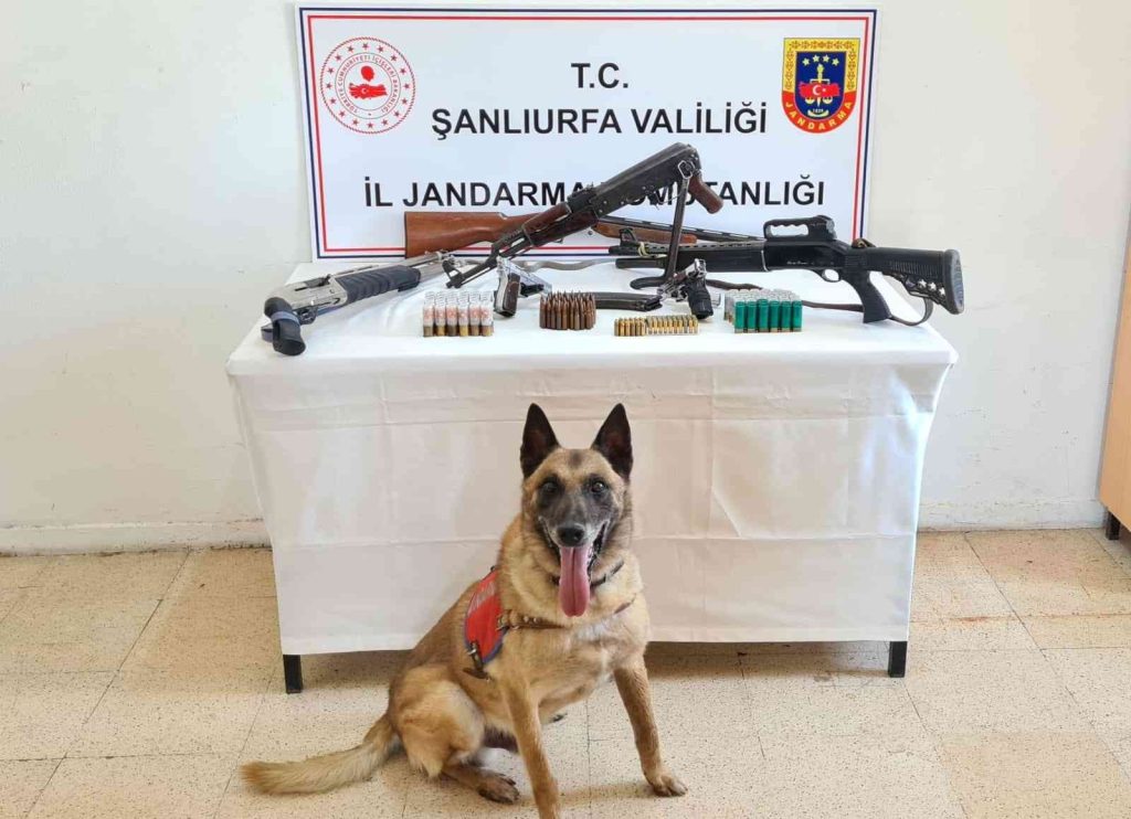 Şanlıurfa’da silah ve mühimmatı ele geçirildi