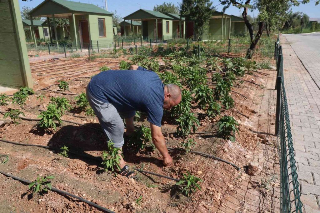 Sıcaktan bunalanlar hobi bahçeleri ve belediye havuzlarına koştu