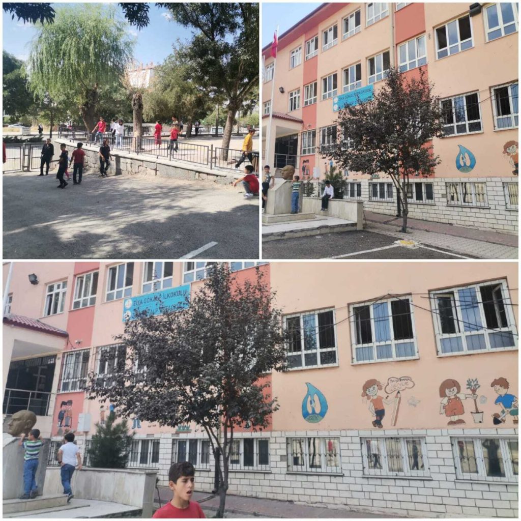 BİRLİK VAKFI DOLUDİZGİN