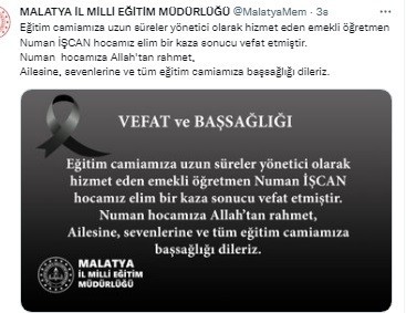 Ağaçtan düşen emekli müdür hayatını kaybetti