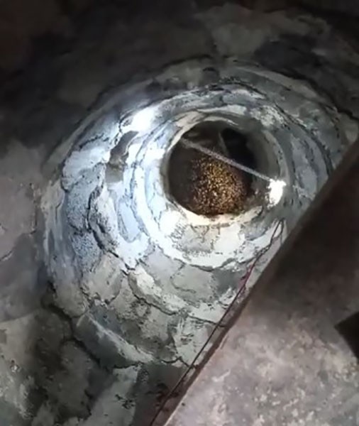 Bingöl’de arılar, cami minaresine yuva yaptı