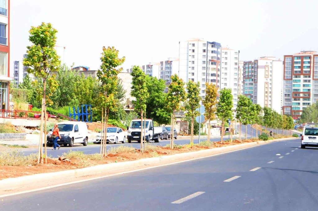 Diyarbakır’da 349 ağaç toprakla buluşturuldu